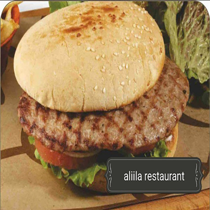 EV YAPIMI DANA BURGER